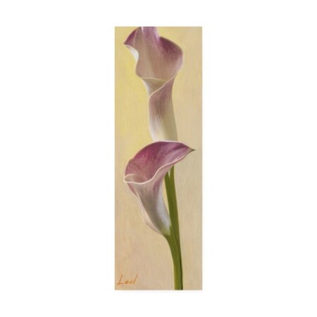 Trademark Fine Art Pablo Esteban 'Pink Floral Bell 2' Canvas Art, 10x32 ALI45275-C1032GG
